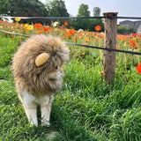 Cat Lion Mane Halloween Costume Cosplay Dress Hat