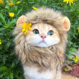 Cat Lion Mane Halloween Costume Cosplay Dress Hat