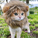 Cat Lion Mane Halloween Costume Cosplay Dress Hat