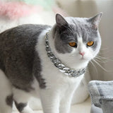 Plastic Cat Neck Chain Fashion Cuban Chain Collar