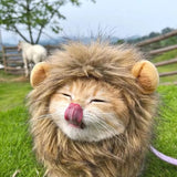 Cat Lion Mane Halloween Costume Cosplay Dress Hat