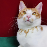 Abyssal Beauty - Timeless Pearl Necklace for Cats