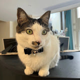 Pearl Cat Bow Tie Collar with Safety Buckle