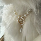 Neptune's Gem - Cat Pearl Necklace Jewelry Collar