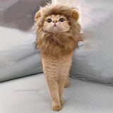 Cat Lion Mane Halloween Costume Cosplay Dress Hat