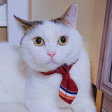 Cat Tie Collar with Bell