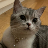 Neptune's Gem - Cat Pearl Necklace Jewelry Collar