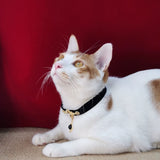 Shadowed Elegance - Black Jeweled Pearl Velvet Cat Collar