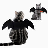 Halloween Cat Clothes Bat Wings Costume Cosplay Prop