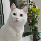 Dusklight Shimmer - Classic Pearl Cat Necklace