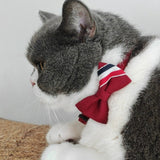 Cat Collar Neck Circle with Safety Buckle and Bow Tie