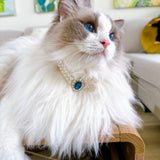 Oceanic Bliss - Vintage-Style Gemstone and Pearl Rhinestone Necklace for Cats