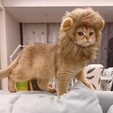 Cat Lion Mane Halloween Costume Cosplay Dress Hat