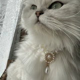 Neptune's Gem - Cat Pearl Necklace Jewelry Collar