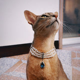 Solar Gleam - Cat Pearl Necklace with Crystal