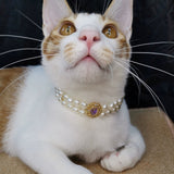 Lost Treasure - Colorful Gemstone Gold Pendant Pearl Cat Necklace