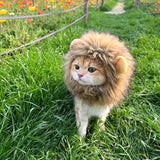 Cat Lion Mane Halloween Costume Cosplay Dress Hat