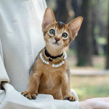 Oriental Jewelry - Velvet Jade Pearl Cat Necklace