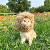 Cat Lion Mane Halloween Costume Cosplay Dress Hat