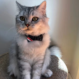 Cat Collar Neck Circle with Safety Buckle and Bow Tie