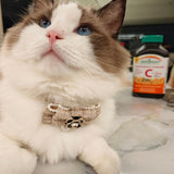 Pearl Cat Bow Tie Collar with Safety Buckle