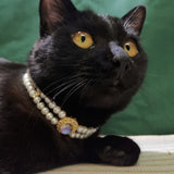 Lost Treasure - Colorful Gemstone Gold Pendant Pearl Cat Necklace