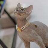 Oceanic Bliss - Vintage-Style Gemstone and Pearl Rhinestone Necklace for Cats