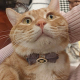 Nautical Charm - Cat Collar with Safety Buckle and Bow Tie