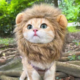 Cat Lion Mane Halloween Costume Cosplay Dress Hat