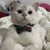 Cat Collar Neck Circle with Safety Buckle and Bow Tie