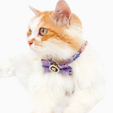 Nautical Charm - Cat Collar with Safety Buckle and Bow Tie