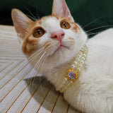 Lost Treasure - Colorful Gemstone Gold Pendant Pearl Cat Necklace