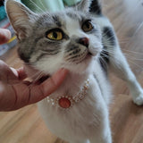 Oceanic Bliss - Vintage-Style Gemstone and Pearl Rhinestone Necklace for Cats