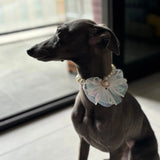 Solstice Gem - Cat Pearl Collar