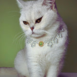 Aurora Gem - Pearl Cat Necklace with Gemstones