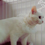 Pearl Cascade - Pearl Collar for Cats