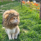 Cat Lion Mane Halloween Costume Cosplay Dress Hat