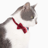 Cat Collar Neck Circle with Safety Buckle and Bow Tie