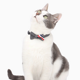 Cat Collar Neck Circle with Safety Buckle and Bow Tie